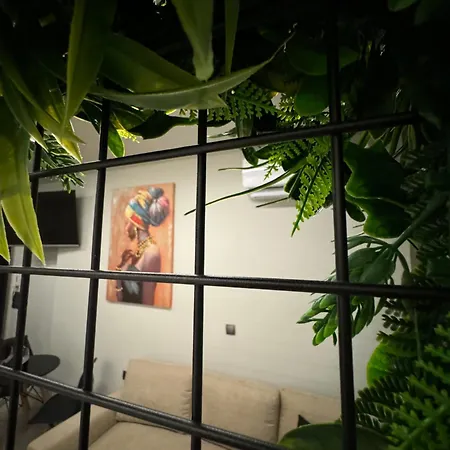 Apartahotel Baja 4*
