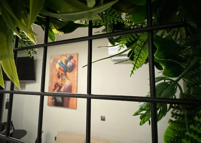 公寓式酒店 Baja 4*